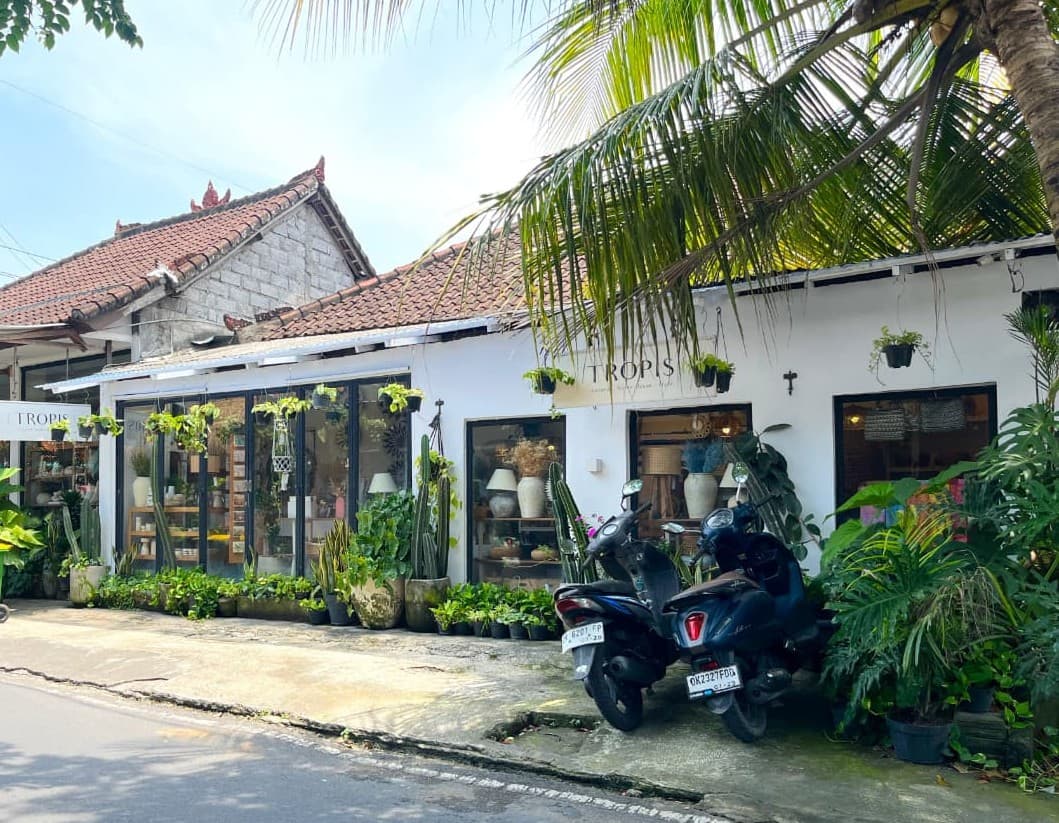 Tropis Canggu store front view with palm trees and tropical plants, Canggu, Bali