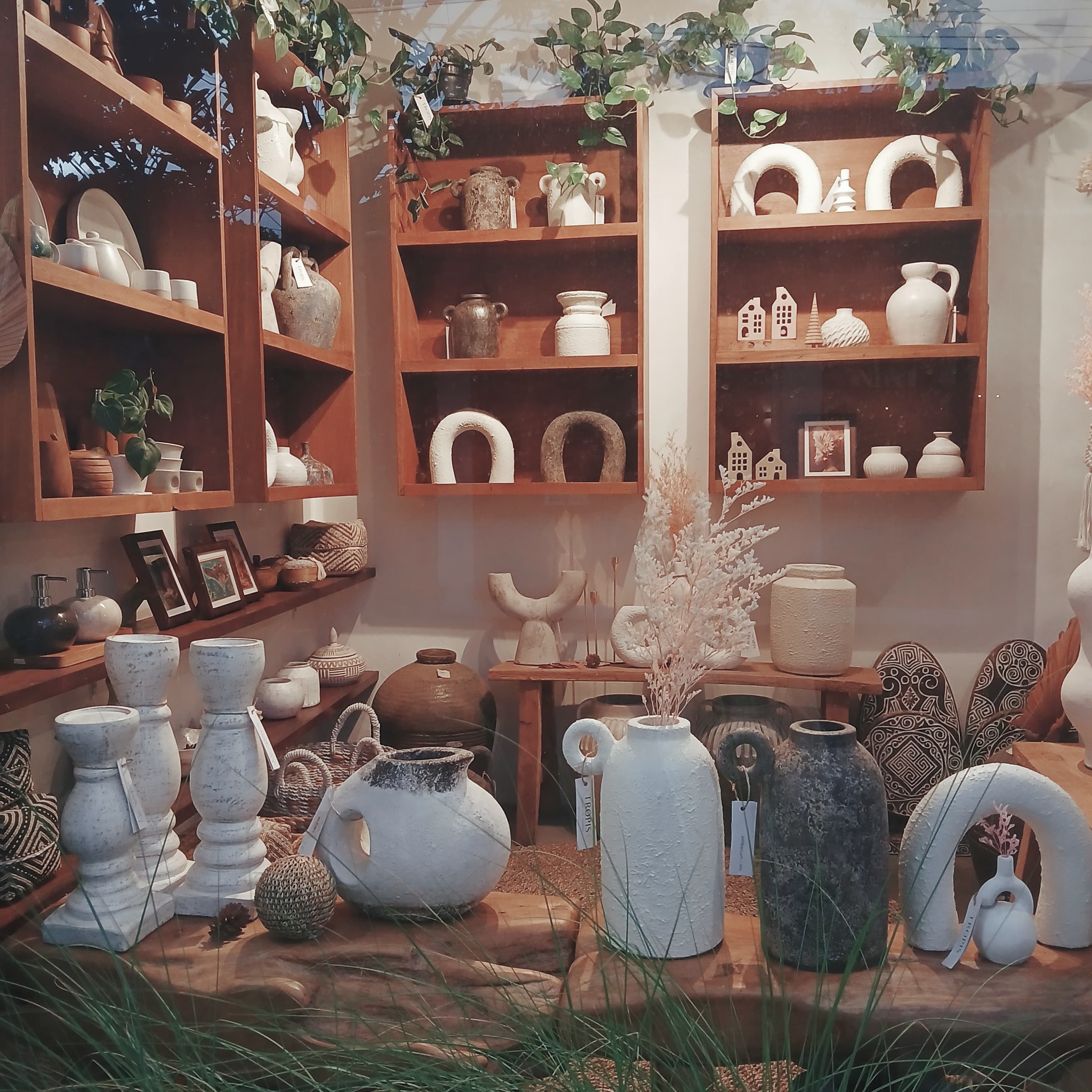 What makes us Tropis: store, team, and natural decor